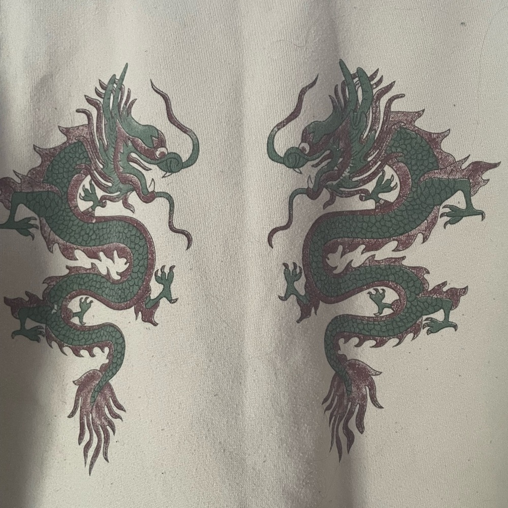 Dragon Print Sweatshirt!